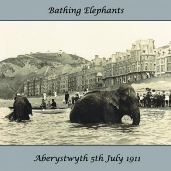 Elephants Bathing